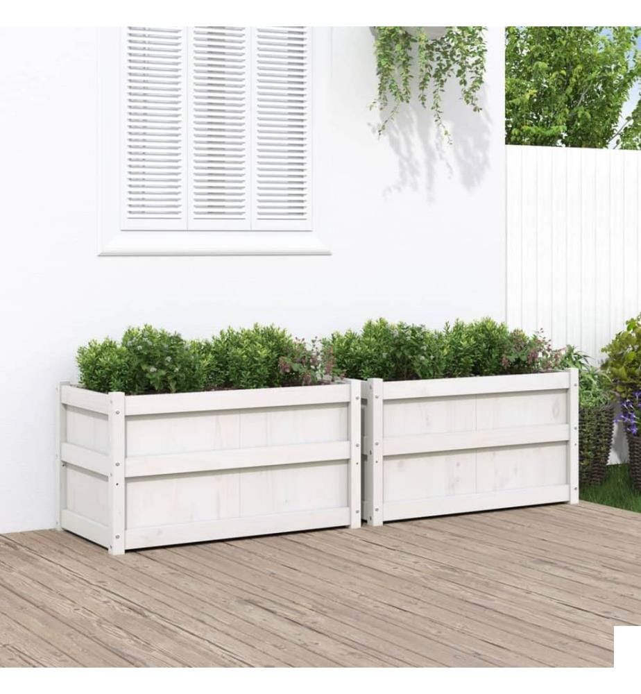 Jardinières 2 pcs blanc bois de pin massif
