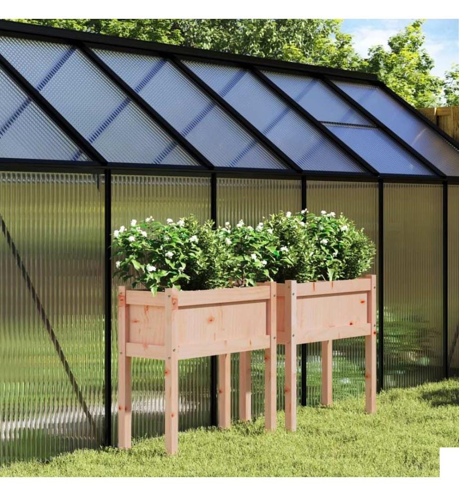 Jardinières 2 pcs avec pieds bois massif douglas