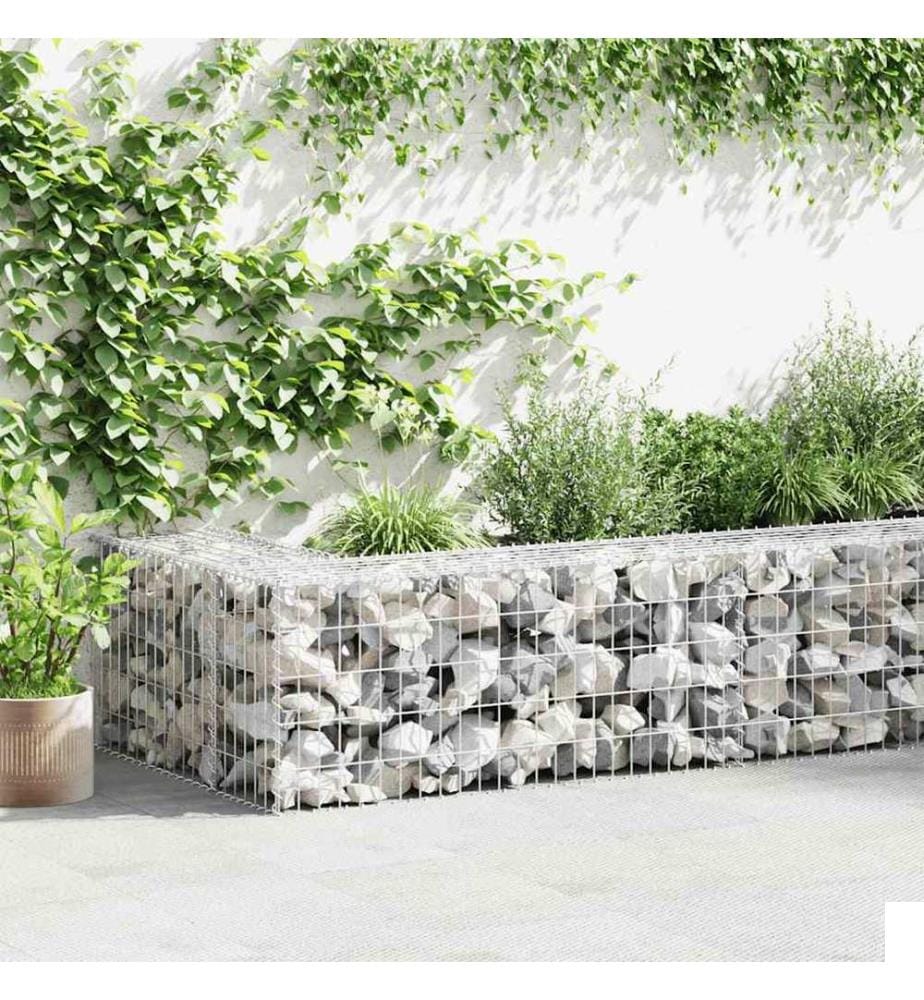 Mur en gabion avec couvercles Acier galvanisé 300x30x50 cm