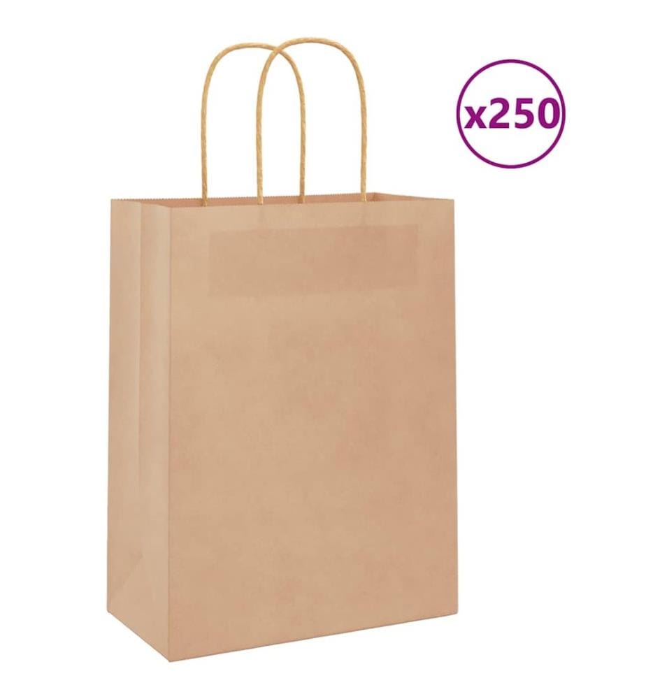 Sacs en papier 250 pcs avec poignées marron 21x11x28 cm
