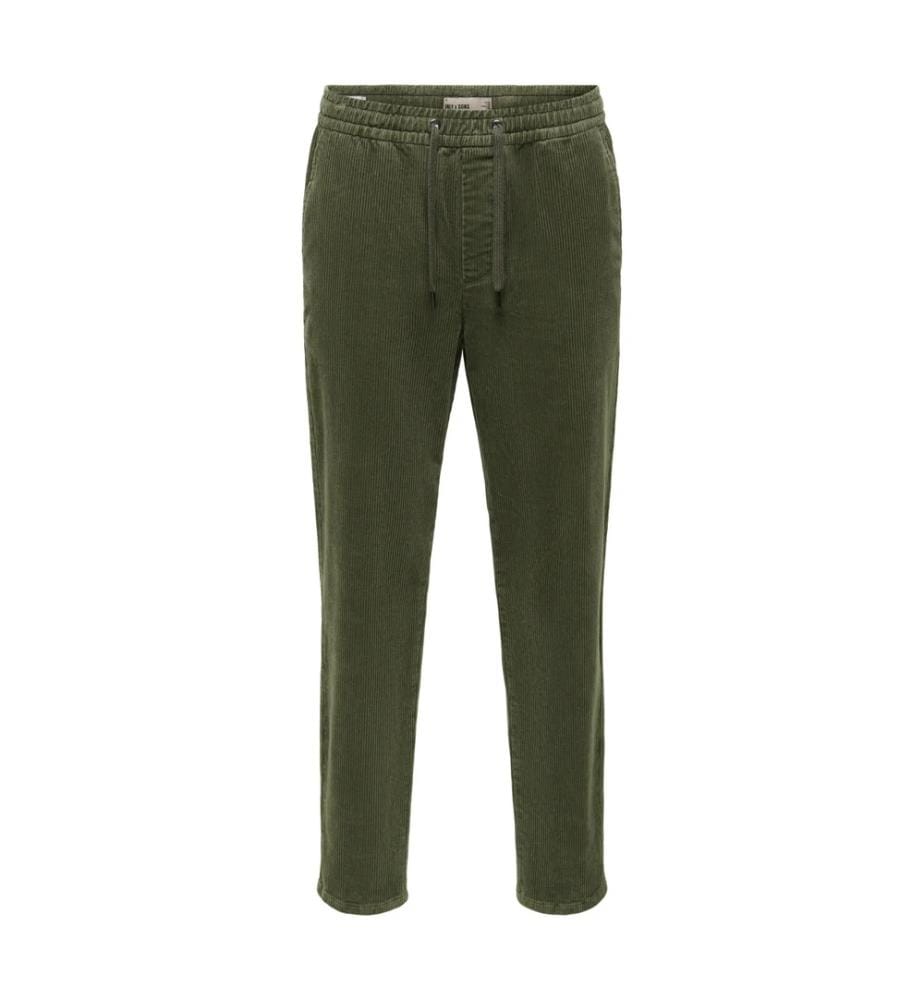 Pantalon en velours côtelé fuselé - Beluga