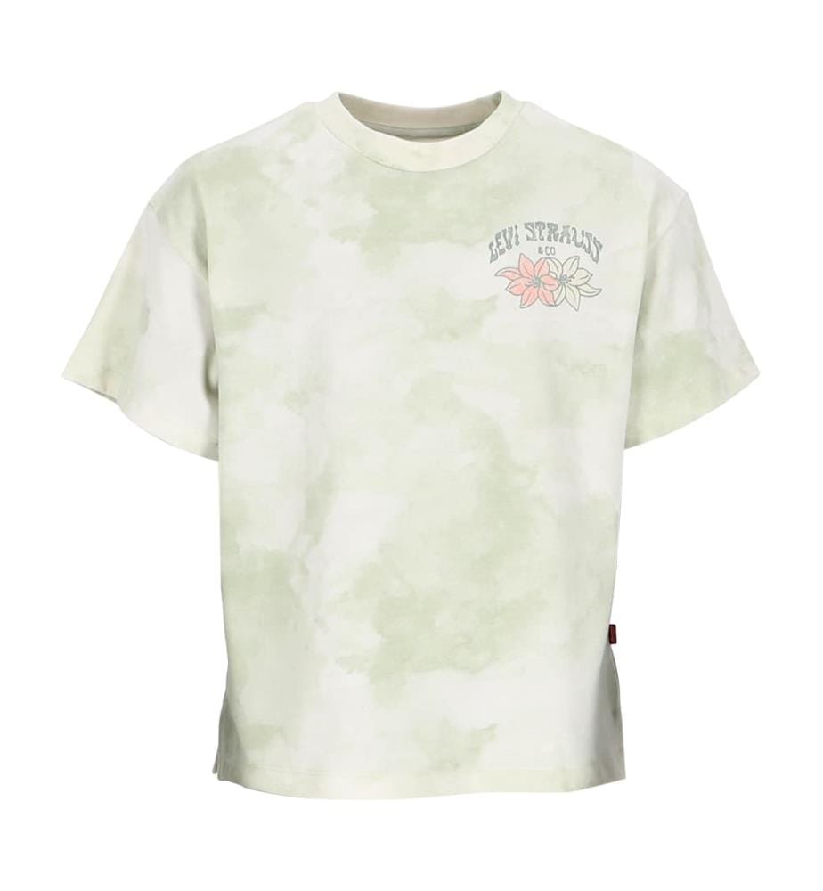 T-shirt dégradé - Vert & Blanc