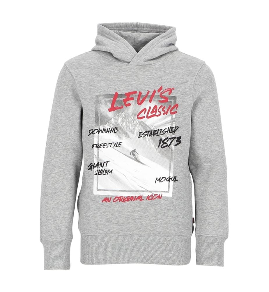 Hoodie - Gris