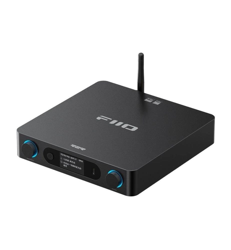 FiiO - Récepteur Bluetooth Hi-Fi BR15 R2R Argent