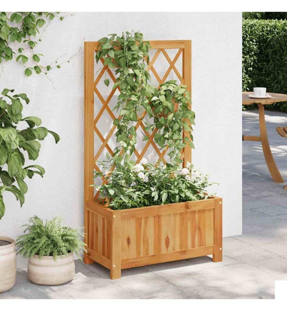 Lit surélevé de jardin avec treillis Bois massif d'acacia