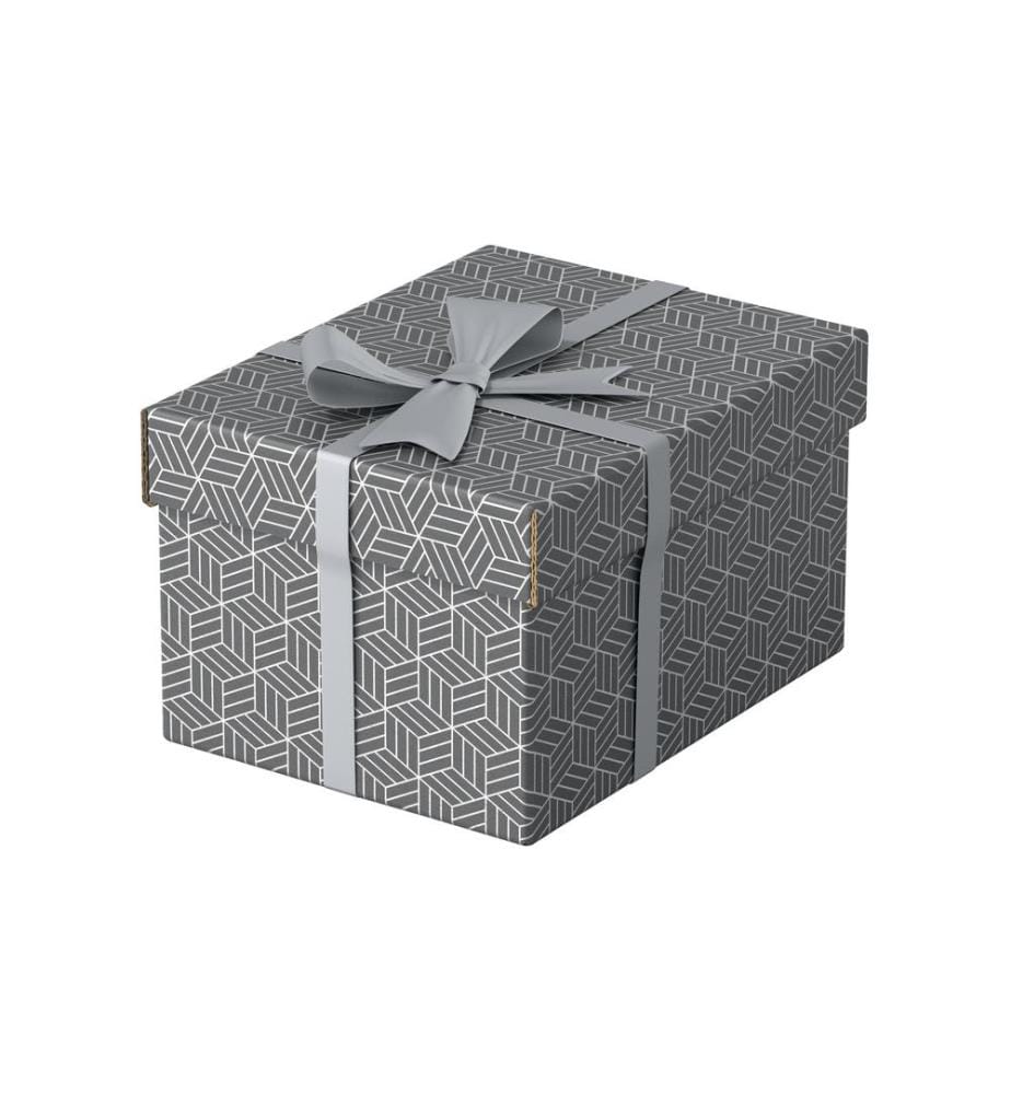 LEITZ - Boîte de rangement Esselte Home S Petit, 3 pièces, Gris