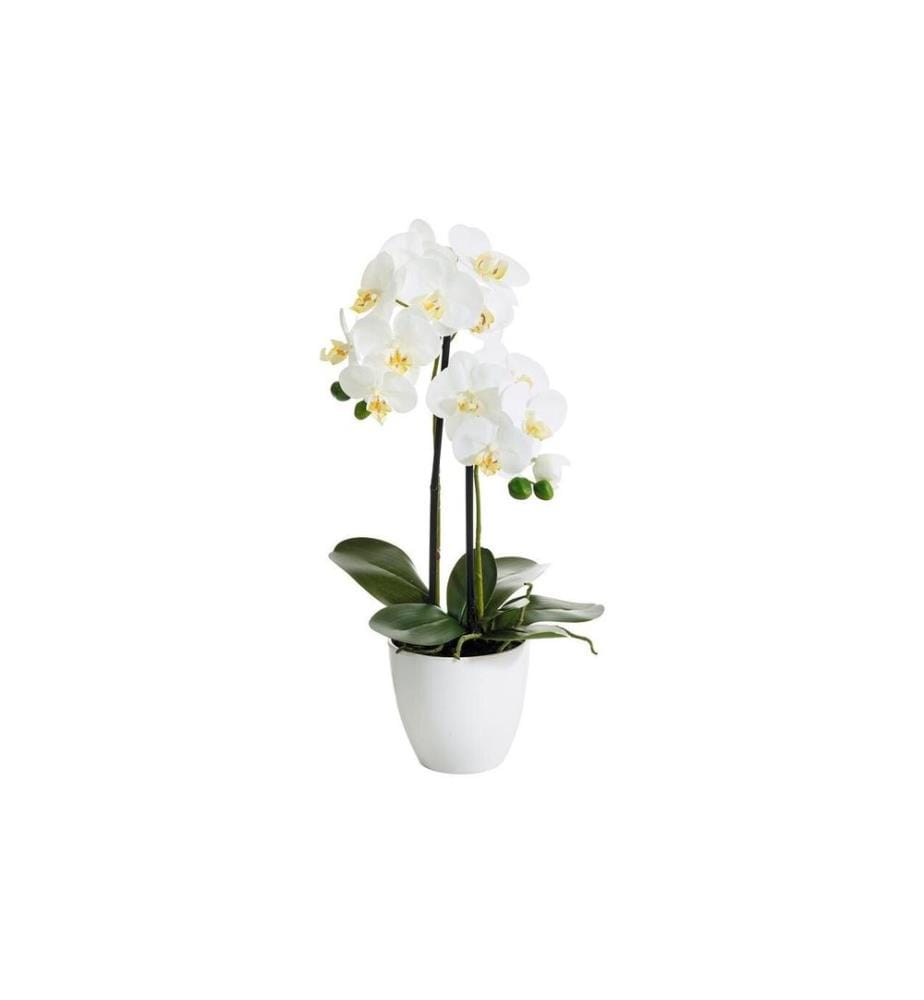 BOTANIC-HAUS - Fleur artificielle Phalenopsis 2 panicules, 54 cm, avec pot
