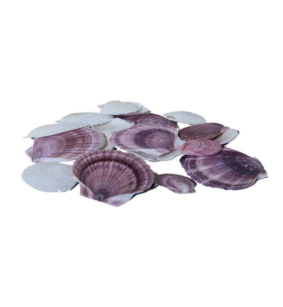 DEKOMAT AG - Moules, 300 g Violet/Blanc