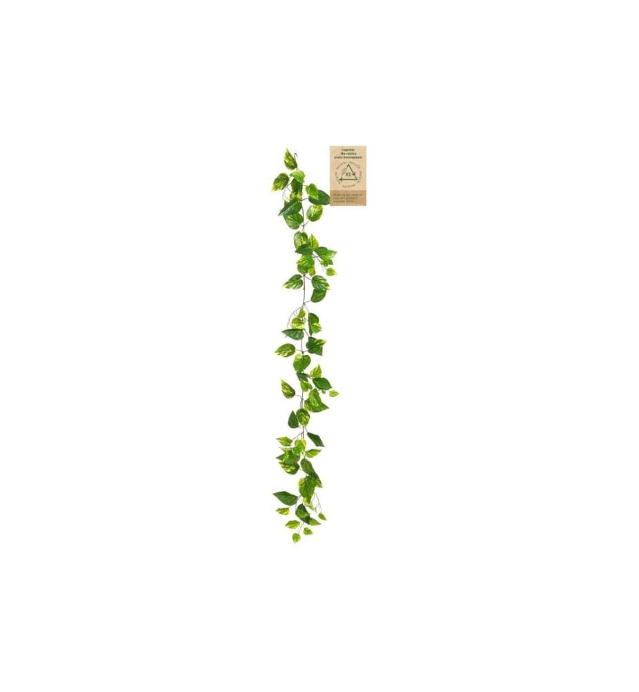 BOTANIC-HAUS - Plante artificielle Guirlande de lierre 150 cm