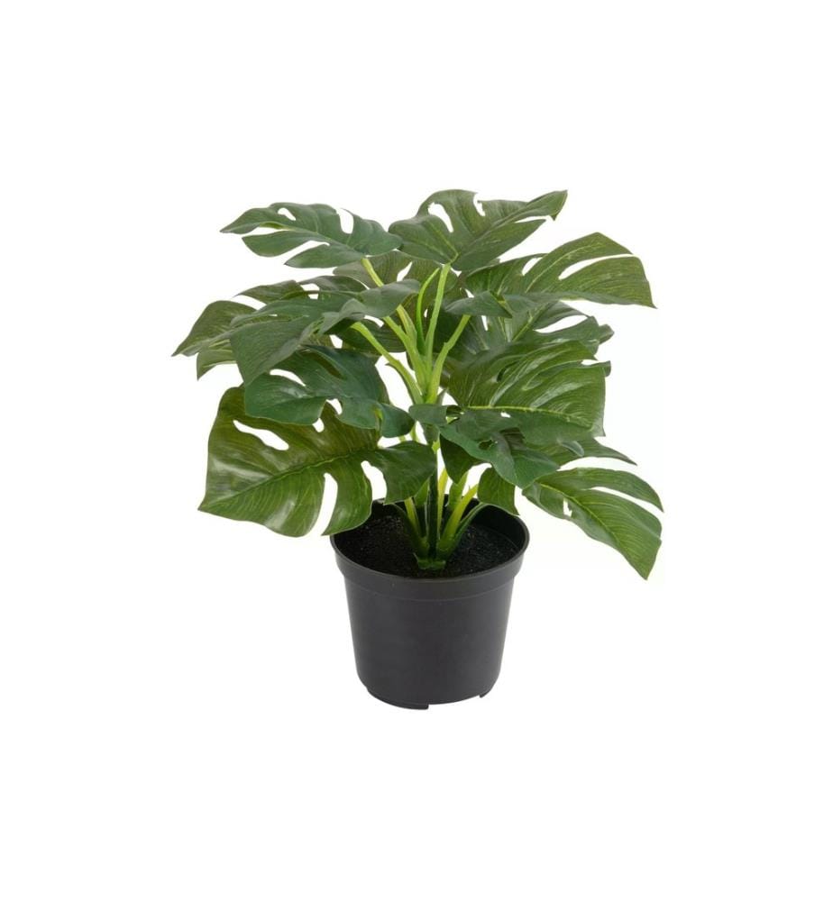 BOTANIC-HAUS - Plante artificielle Philodendron en pot 28 cm