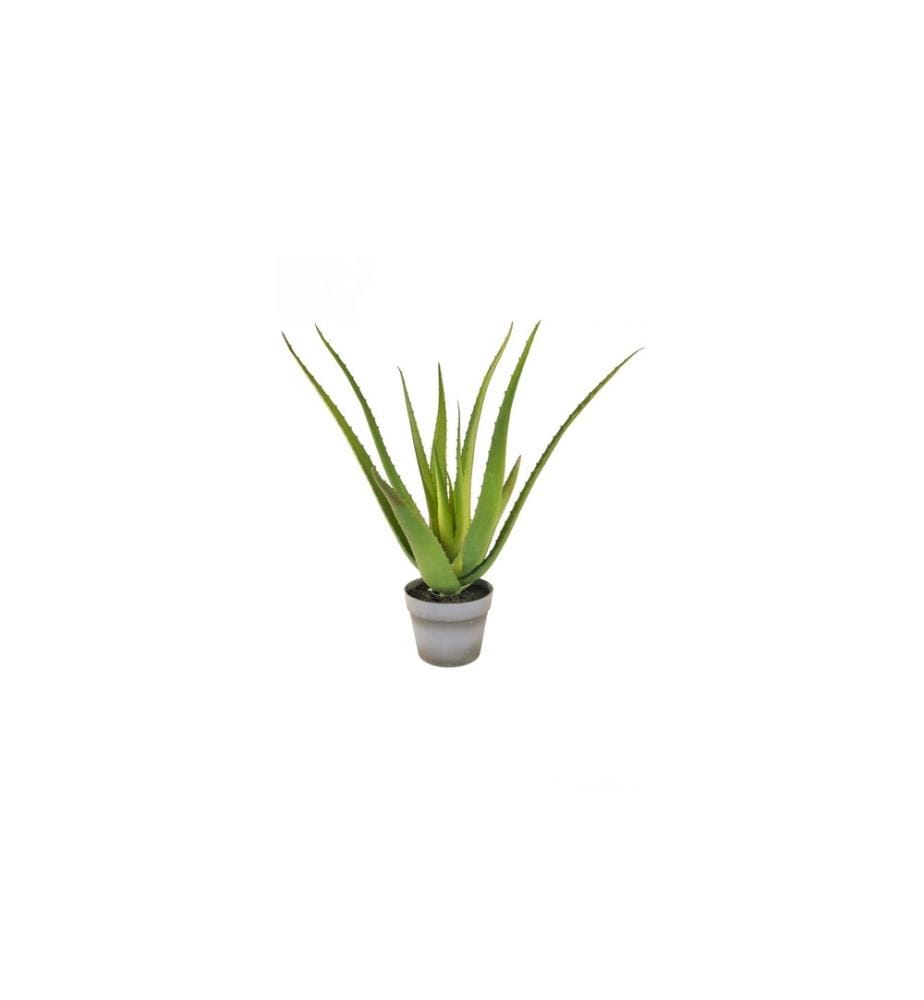 BOTANIC-HAUS - Plante artificielle Aloès en pot 50 cm