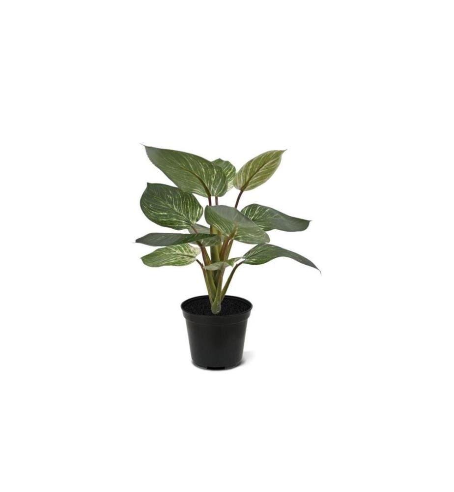 BOTANIC-HAUS - Plante artificielle Philodendron Birkin 30 cm