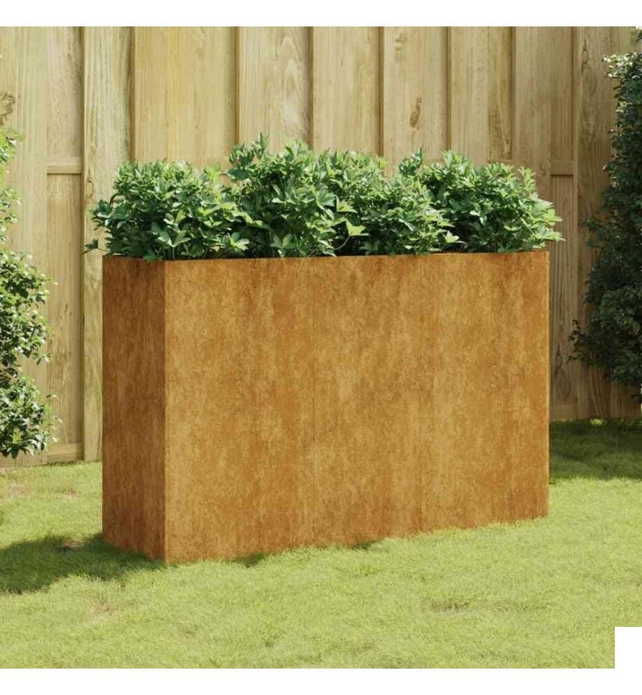 Lit surélevé de jardin 120x40x80 cm acier corten