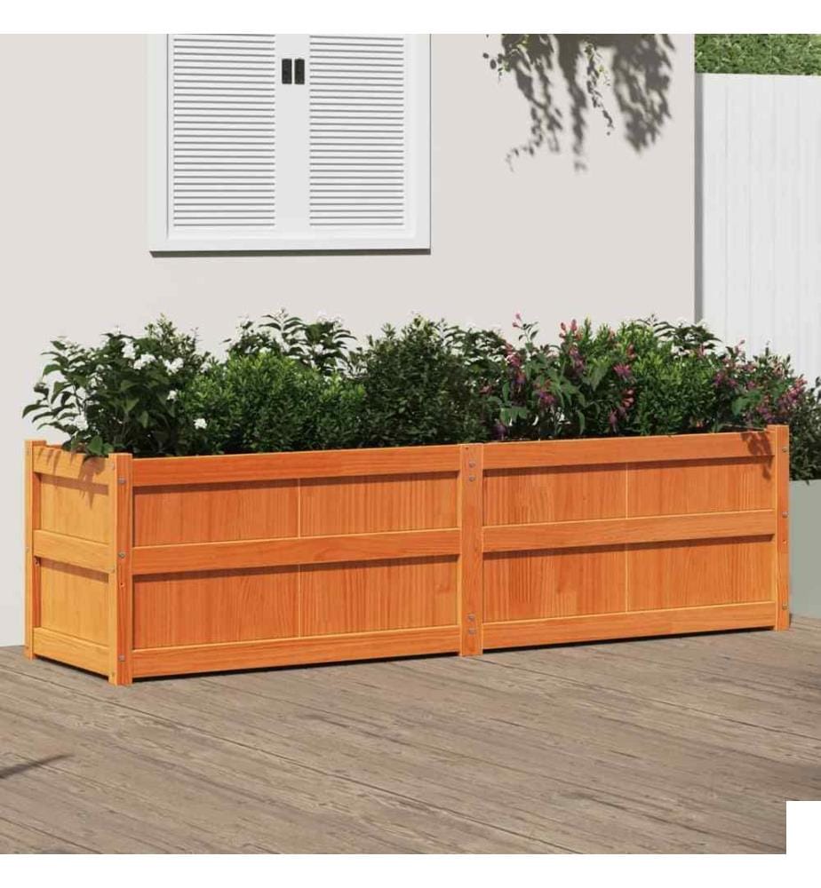 Jardinière cire marron 180x50x50 cm bois de pin massif
