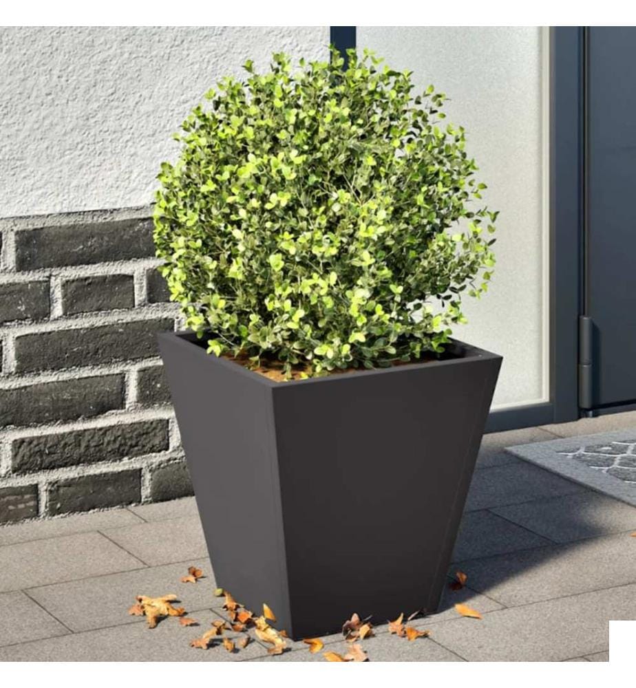 vidaXL Jardinières 2 pcs noir 30x30x30 cm acier