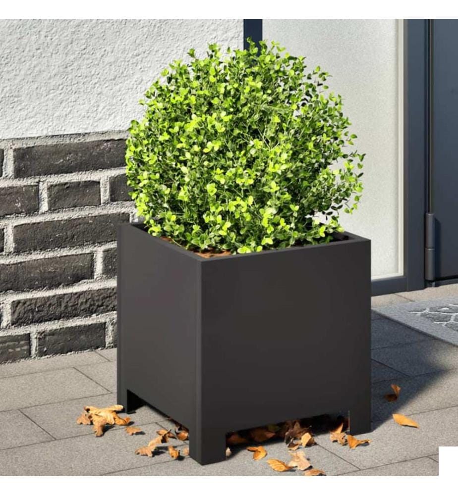 vidaXL Jardinières 2 pcs noir 30x30x30 cm acier