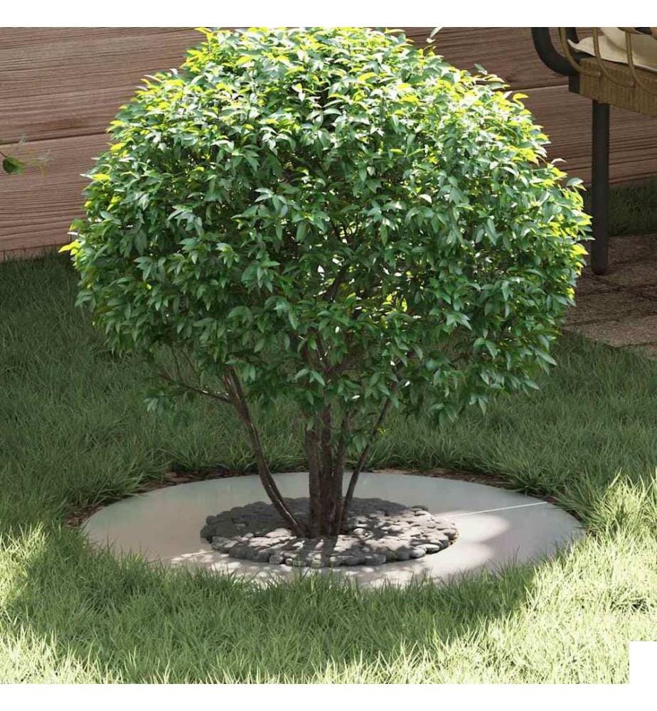 vidaXL adapté pour anneau d'arbre plat Argent Ø30 / 60 cm