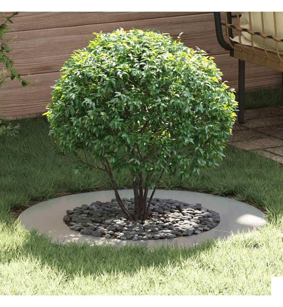 vidaXL adapté pour anneaux d'arbre plats 5 pcs Argent Ø50 / 80 cm