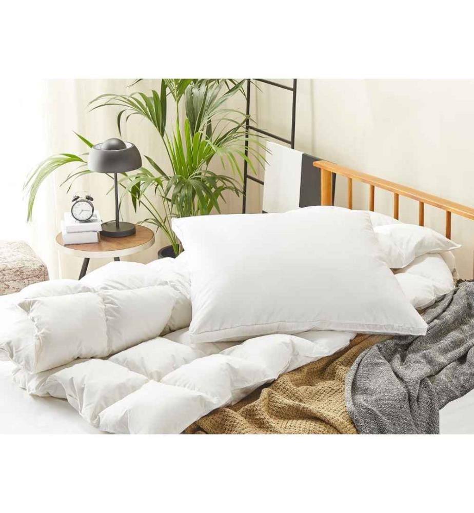 Lot de 2 Oreillers Confortables en Microfibre Blanc 80 x 80 cm au Rembourrage Idéal pour Allergiques