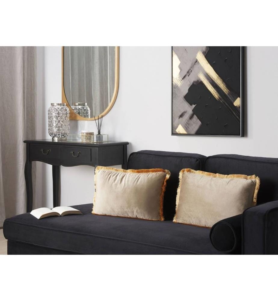 Lot de 2 Coussins Décoratifs avec Frange 30 x 50 cm en Velours Beige Pour Salon Canapé ou Lit Design et Tendance
