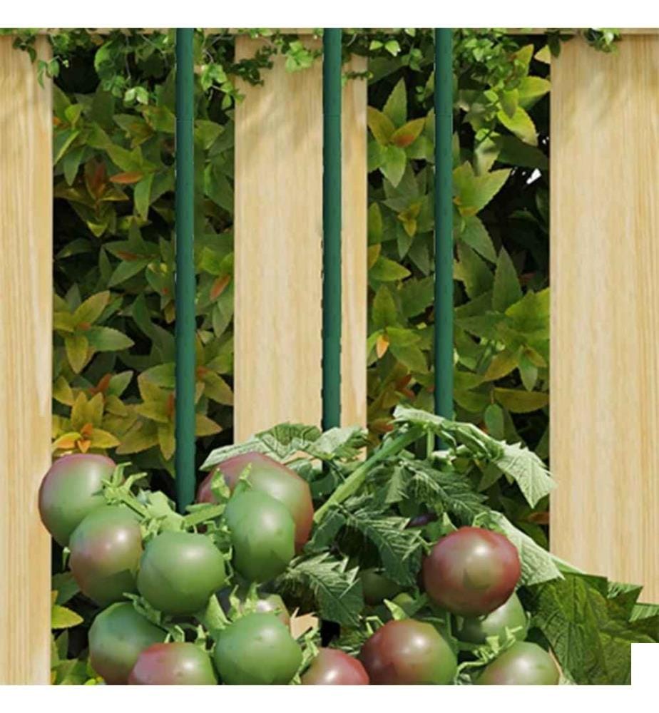 Piquets pour plantes de jardin 30 pcs vert 150 cm acier