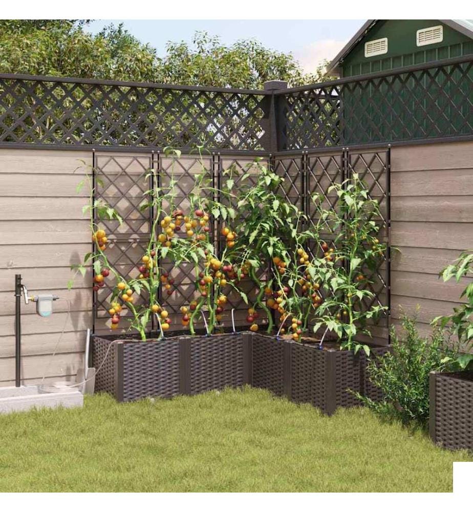 Cache-pot de jardin 5 pcs Marron Acier