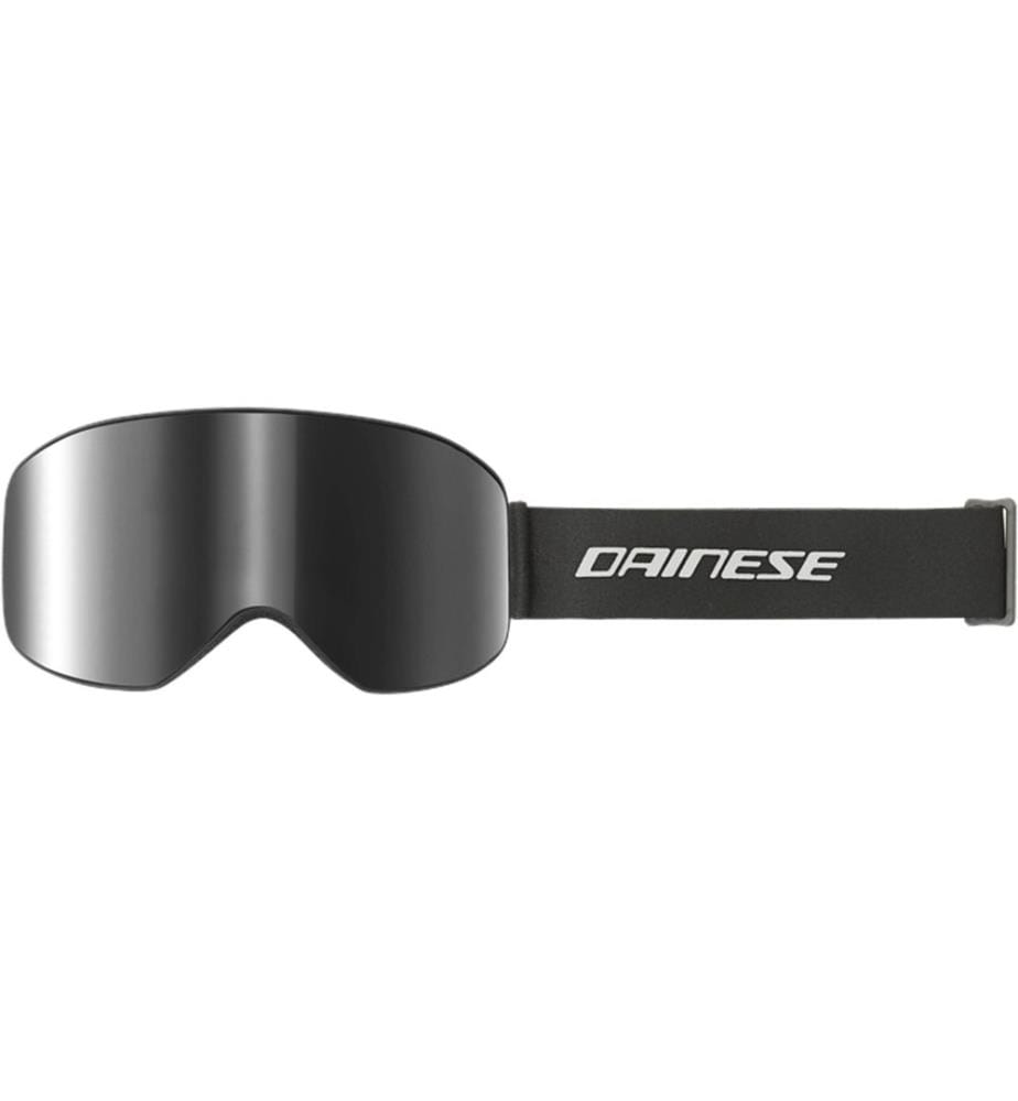 Lunettes de ski HP Horizon Goggle Stretch-limo/silver L