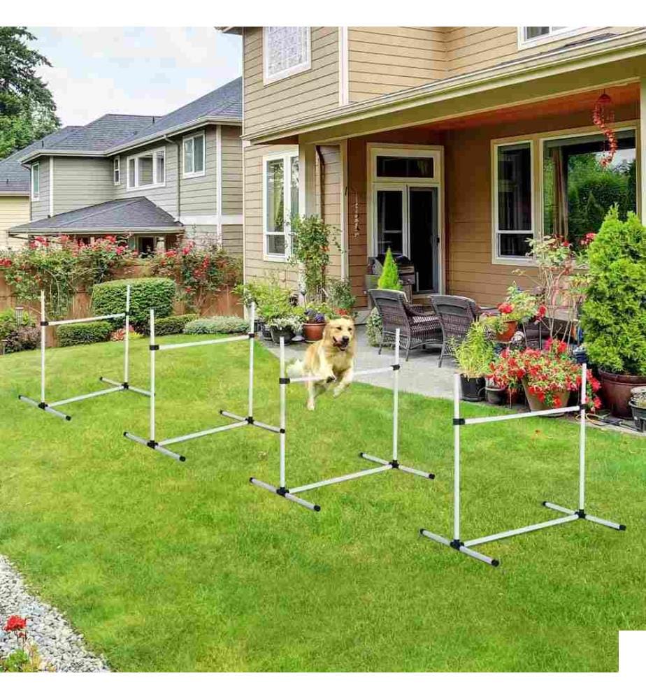 Set de haies et slalom Agility avec 4x haies