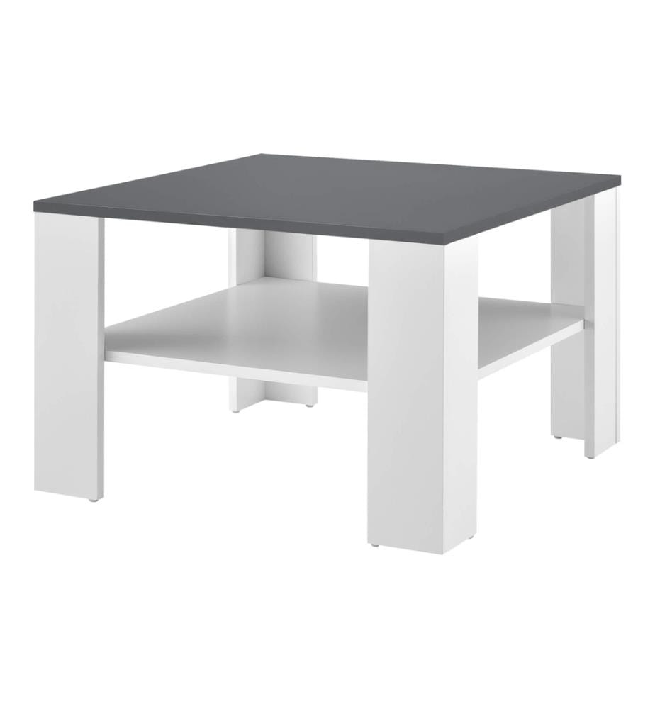 Table basse Aachen 60x60x40 cm avec étagère Blanc Gris