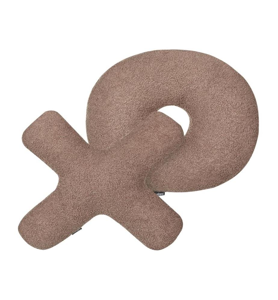 Lot de 2 coussins décoratifs HESPERIS Bouclé Marron Unicolore