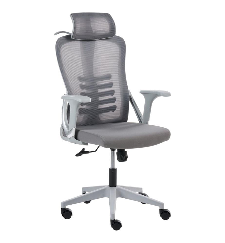Chaise de bureau ERGONOX Gris