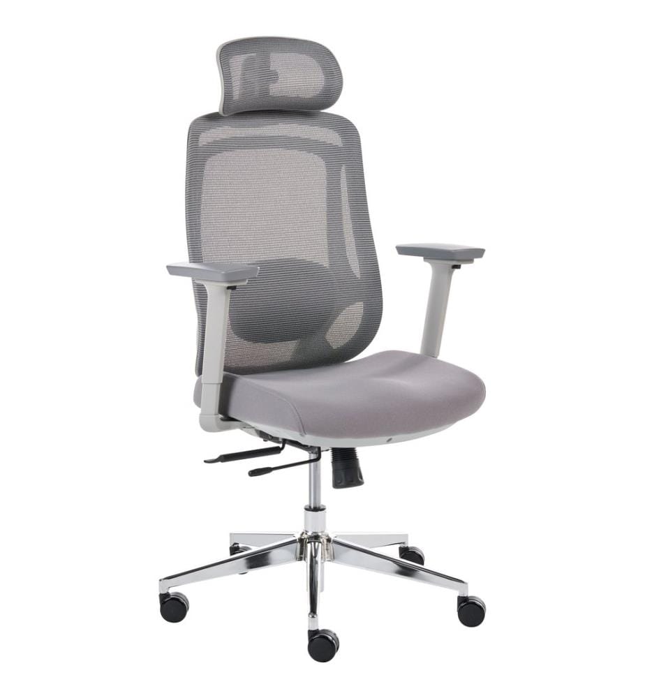 Chaise de bureau OLYRA Gris