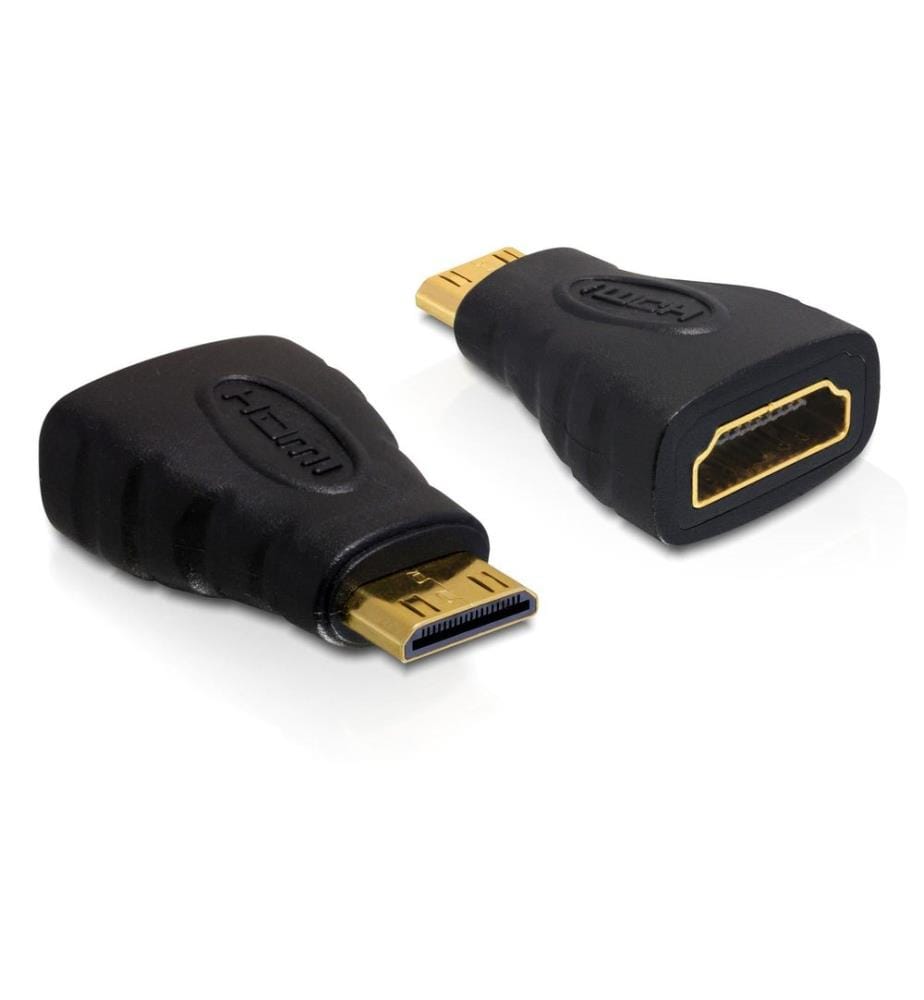 Delock Convertisseur Mini-HDMI (HDMI-C)  HDMI Noir