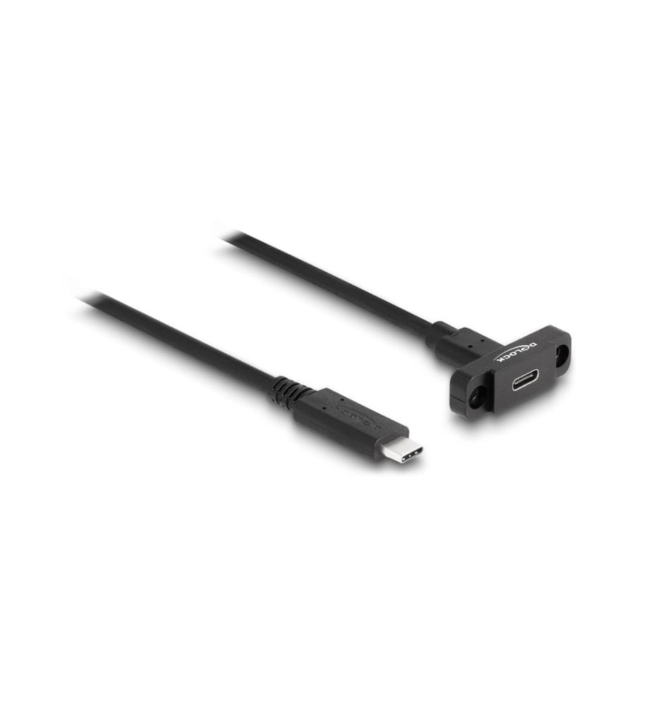 DELOCK - Câbles rallonges à encastrer USB 3.0 USB C - USB C 1 m