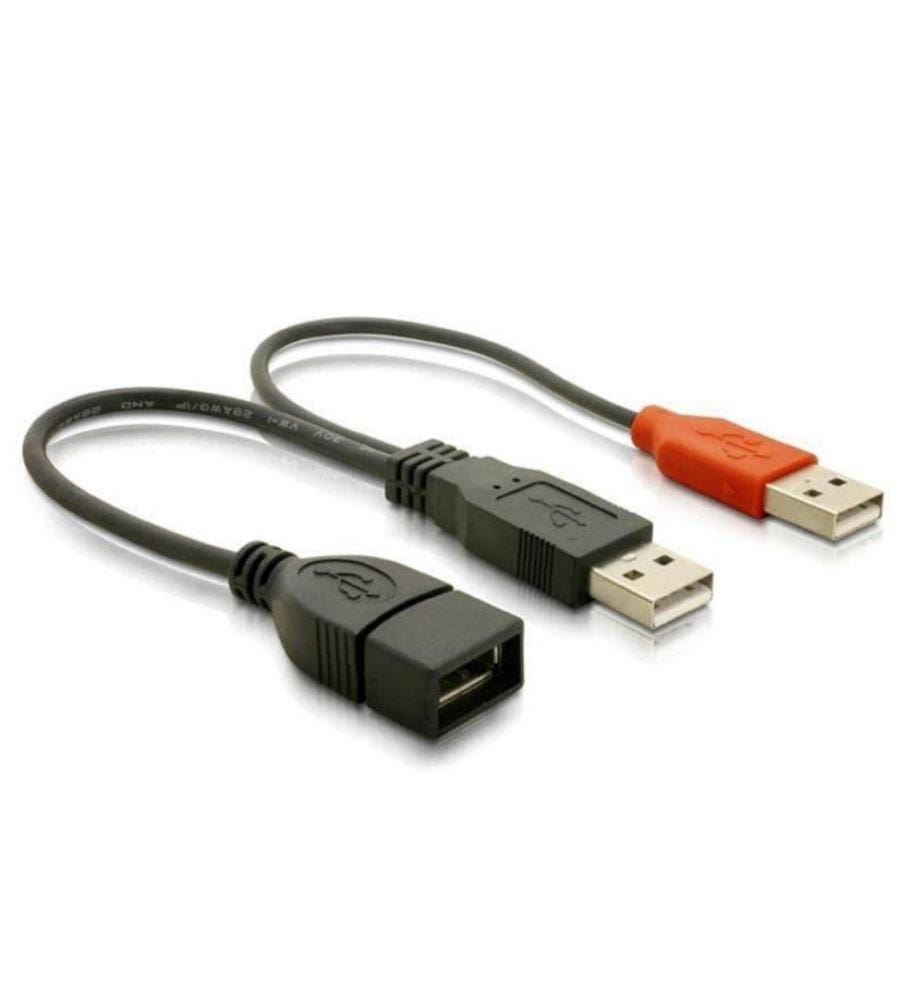 DELOCK - Câble en Y USB 2.0 USB A - USB A 0.22 m