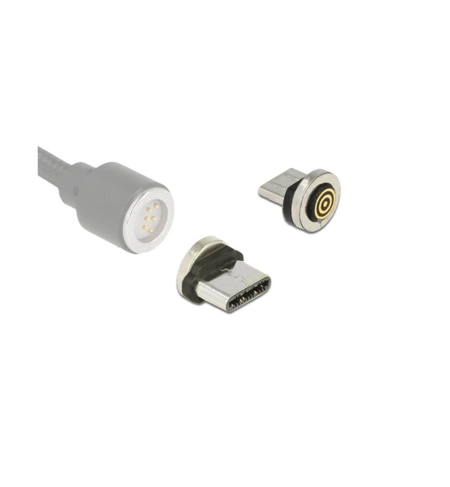 DELOCK - Câble USB magnétique Spécial - USB C 0 m