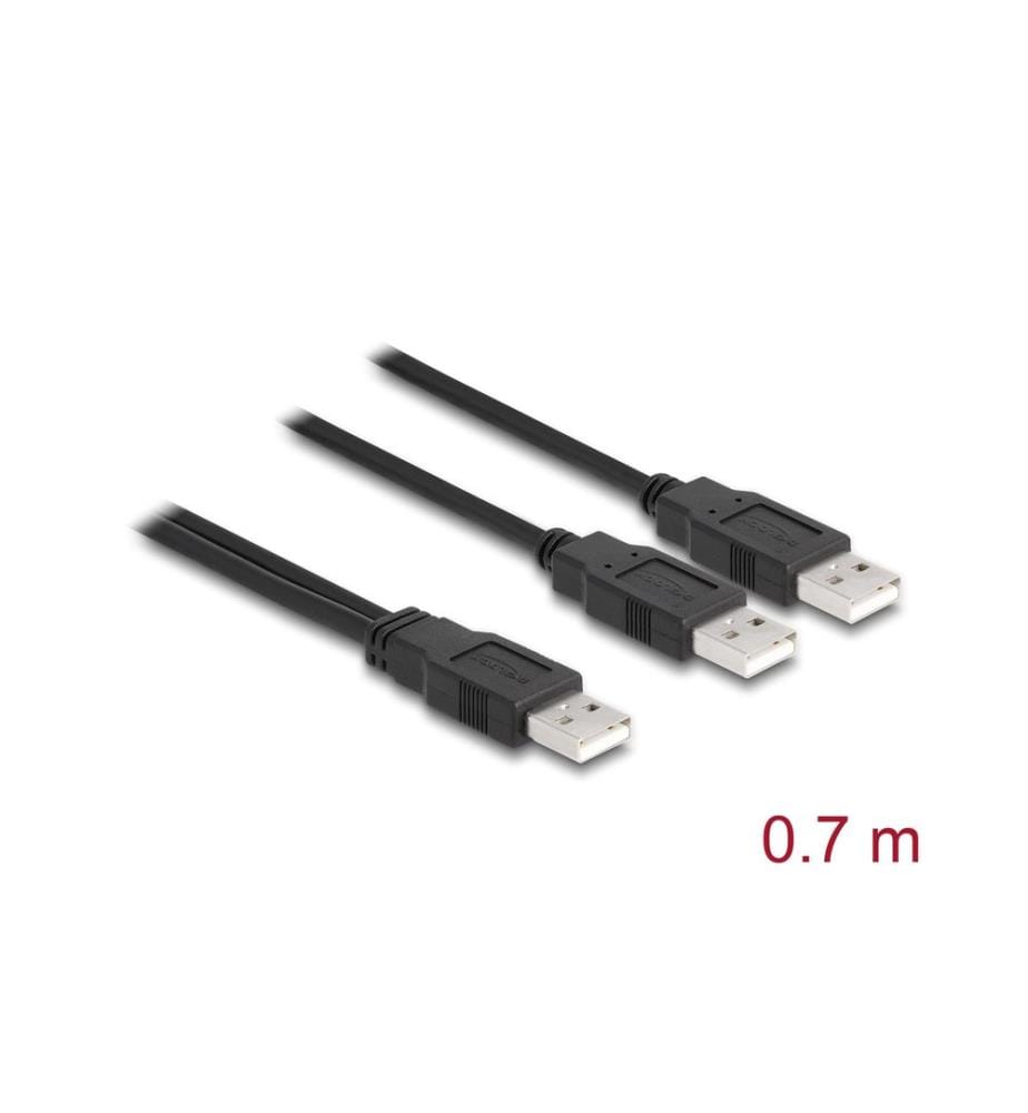 DELOCK - Câble en Y USB 2.0 Type-A vers 2 x type-A 70 cm USB-A - USB-A 0.7 m