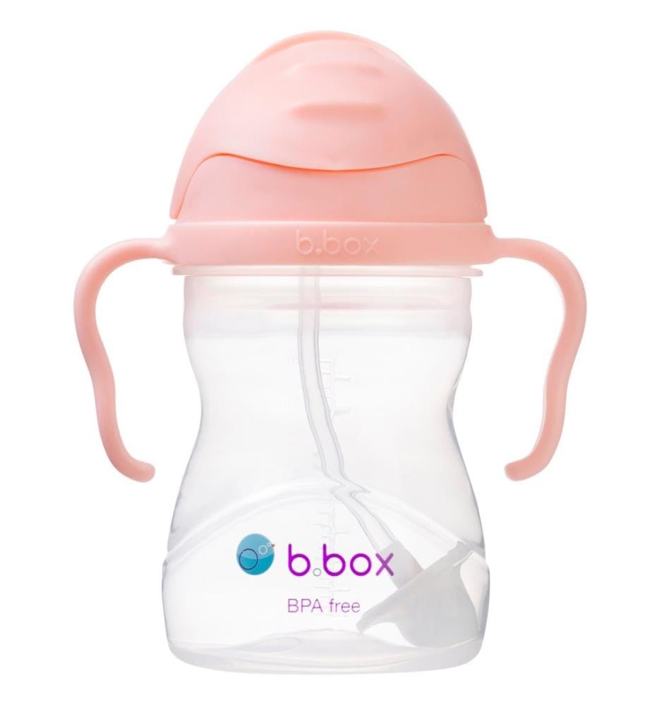 Tasse dapprentissage Sippy Cup 240ml Tutti Frutti
