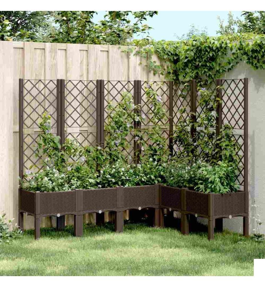 Jardinière avec treillis marron 160x120x142 cm PP