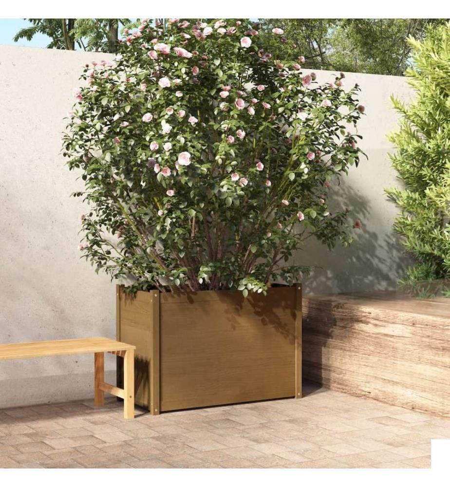 vidaXL Jardinière d'extérieur Marron miel 100x50x70 cm Pin massif