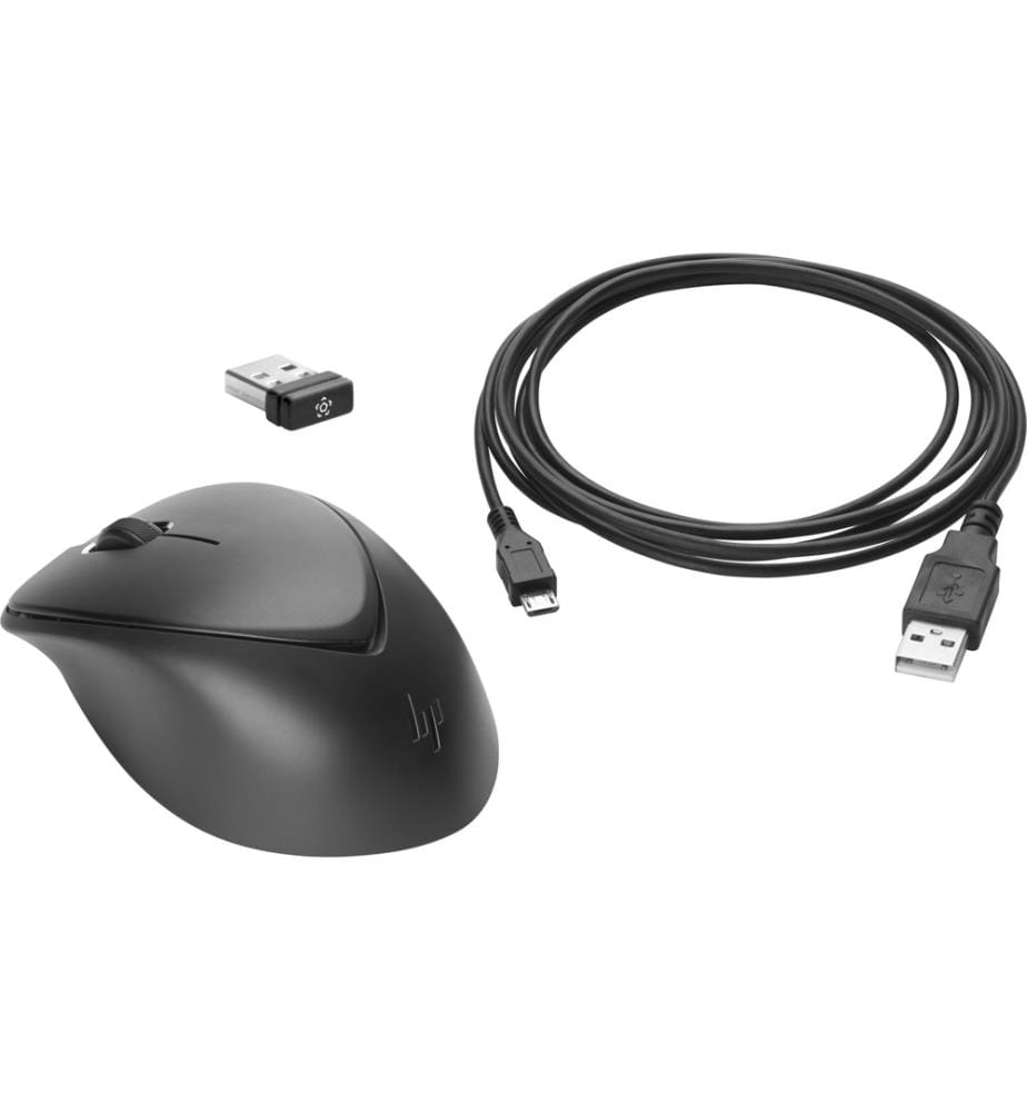 HP - Souris Wireless Premium 1JR31AA