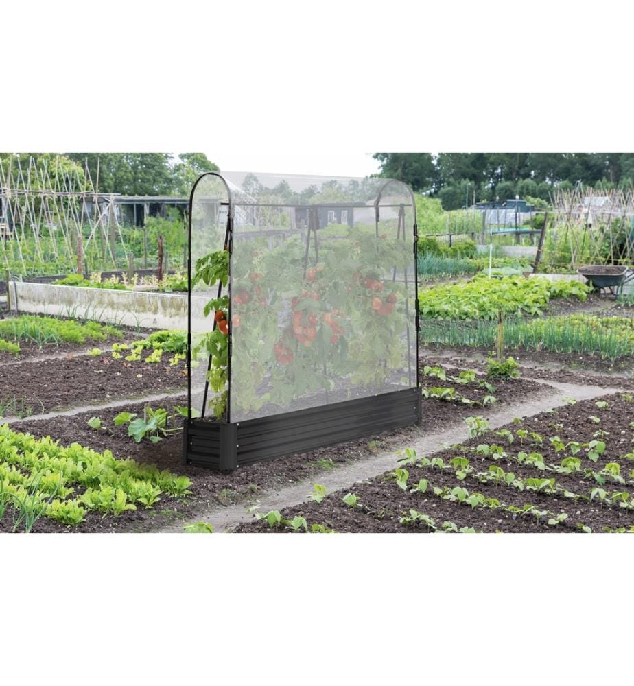 Lot de 2 Serres de potager spéciales tomates en métal - Noir