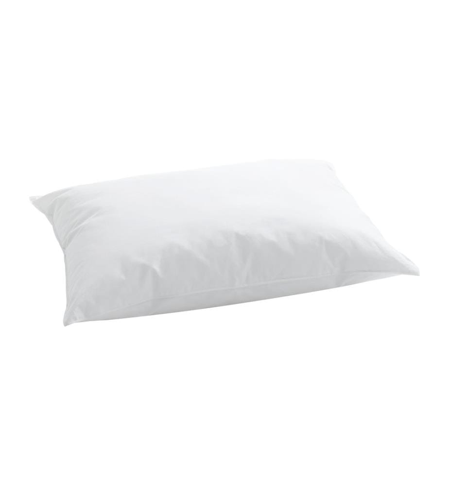 Billerbeck - Oreiller classique Softy 50 x 70 cm