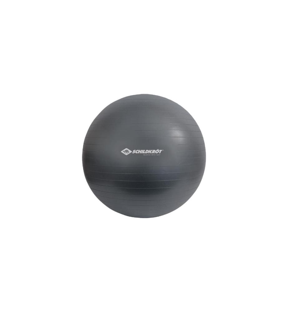 Schildkröt Fitness Ballon de gymnastique 75 cm