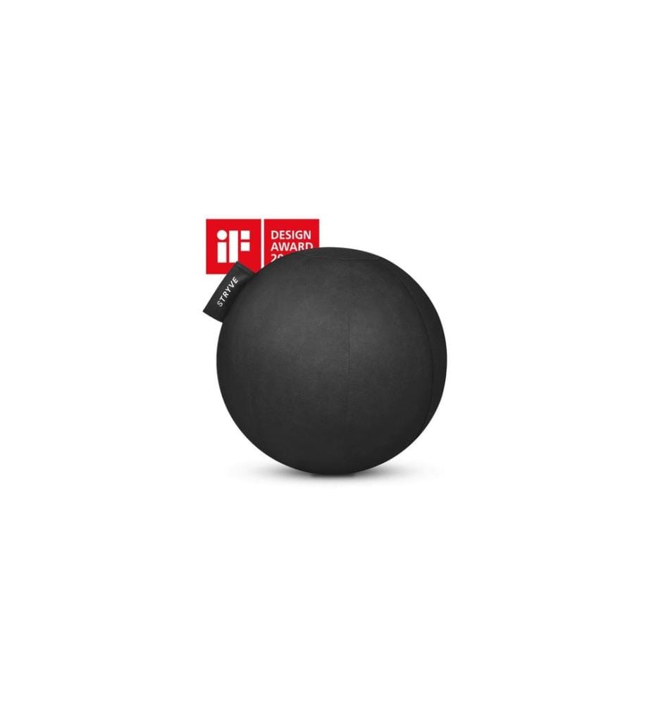 Stryve - Active Ball cuir synthétique Ø 65 cm