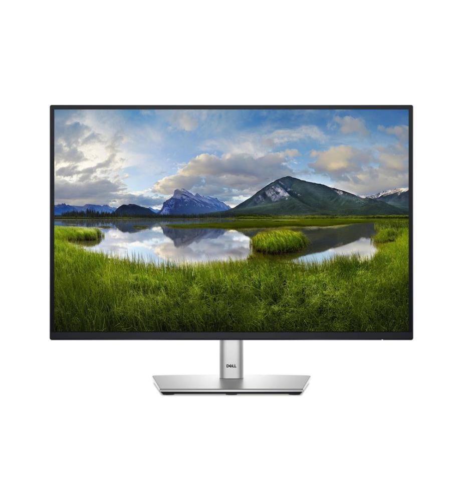 Dell - Moniteur P2425E