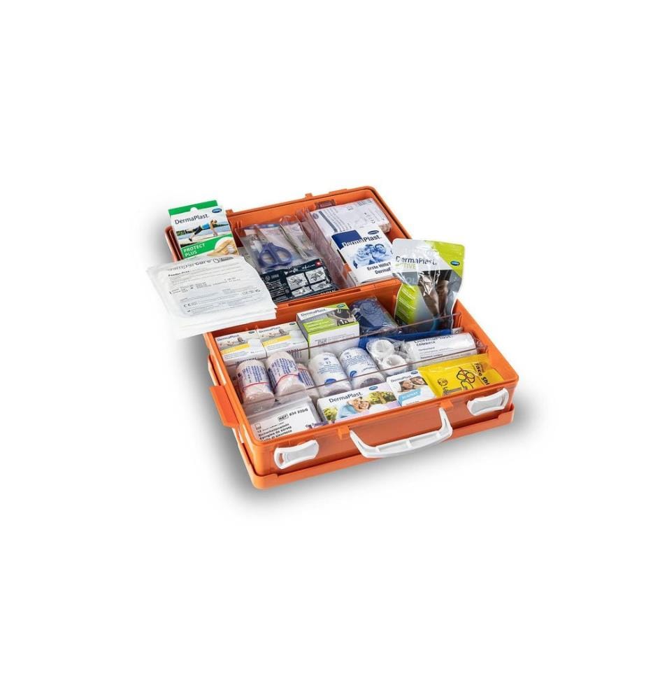 DermaPlast - Kits de premiers secours Mallette de premiers secours Vario 2