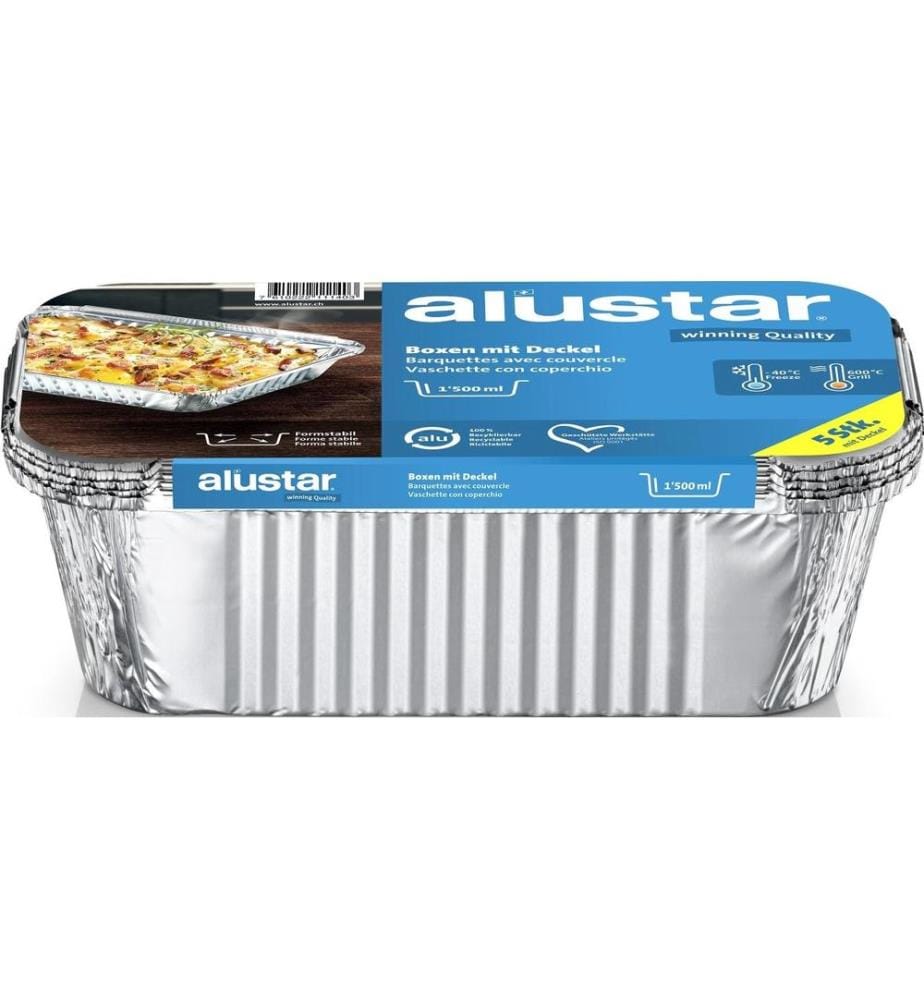 ALUSTAR - Barquette à barbecue 25 x 13 x 7 cm, 5 pièces