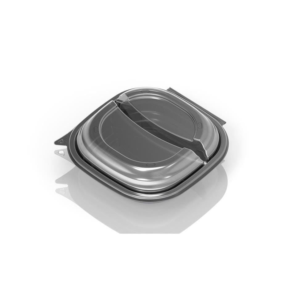 Duni - Bols jetables Vista 25 Pièce/s, 2 compartiments, 670/460 ml