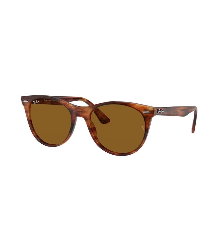 Lunettes de soleil - Marron